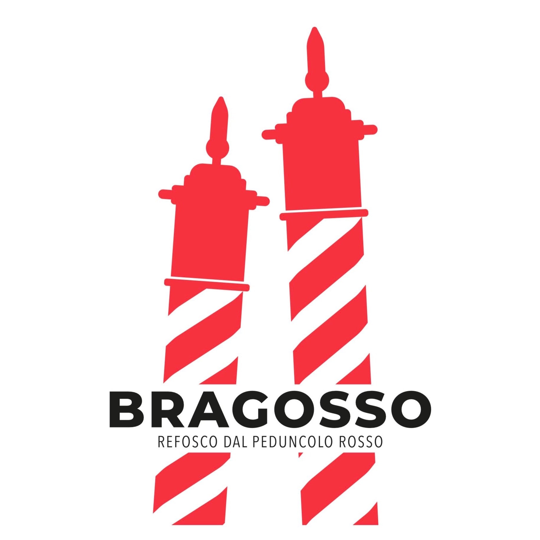 Bragosso - refosco dal peduncolo rosso affinato in anfora di terracotta